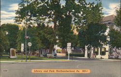 Library and Park Postcard