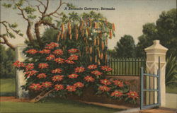 A Bermuda Gateway Postcard Postcard Postcard