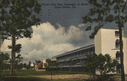 The New University of Miami Coral Gables, FL Postcard Postcard Postcard
