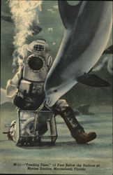 Marine Studios - Diver Feeding Porpoise Marineland, FL Postcard Postcard Postcard