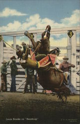Louis Brooks on "Heads-up" Rodeos Postcard Postcard Postcard