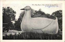 The Big Duck Postcard