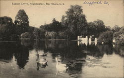 Lagoon Drive, Bay Shore Brightwaters, NY Postcard Postcard Postcard