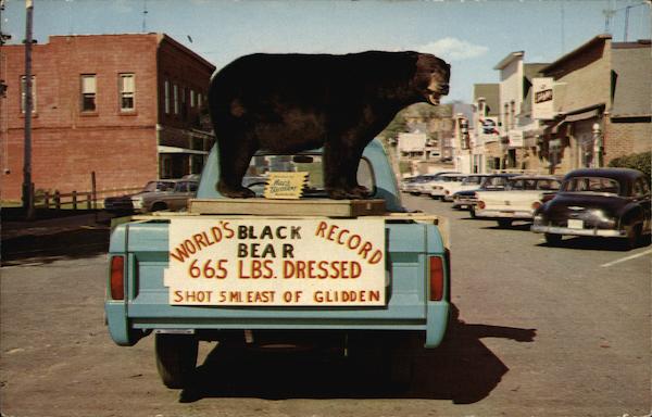 World's Record Black Bear Glidden Wisconsin G. R. Brown Co.