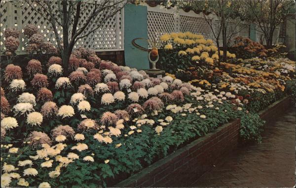 Phipps Conservatory - Fall Flower Show Pittsburgh Pennsylvania