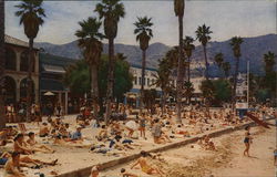 Santa Catalina Island Postcard