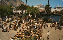 Greeting the Visitors to Avalon Santa Catalina Island, CA Postcard Postcard Postcard