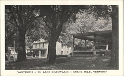 Vantine's, On Lake Champlain Postcard