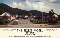 The Bruce Motel Postcard