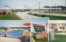 Windsor Motel and Dining Room Postcard