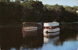 Glass Bottom Boats at Aquarena Postcard