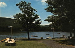 Locust Lake State Park Postcard