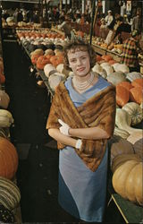 Circleville Pumpkin Show Postcard