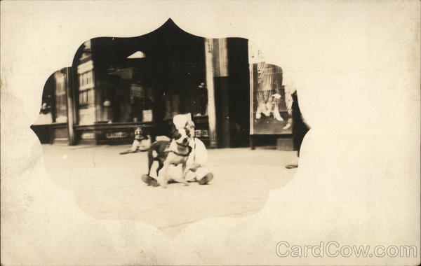 Boy and Dogs, Vignette