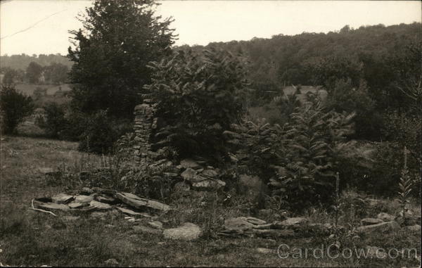 Rocks in Foreground and Trees in Background Harpersfield New York