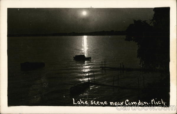 Lake Scene Camden Michigan