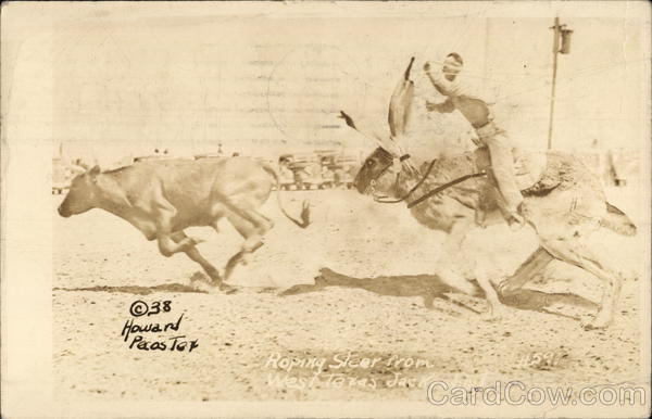 Roping Steer in West Texas Cowboy Western