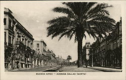 Avenida Callao (Norte) Buenos Aires, Argentina Postcard Postcard Postcard