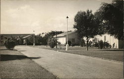 Residential Street Postcard