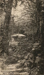 Tumbledown Mountain Camp Postcard