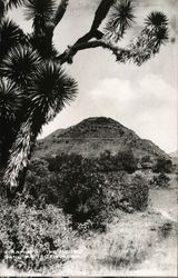 Pyramid of the Moon San Juan Teotihuacan, Mexico Postcard Postcard 