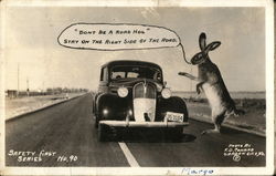 Large Rabbit Scolds A Driver Hogging The Road Large Rabbit Scolds A Driver Hogging The Road