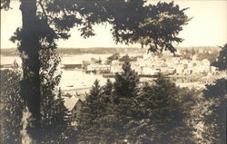 View of Harbor Postcard