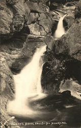 Wight's Brook Falls North Newry, ME Postcard Postcard Postcard