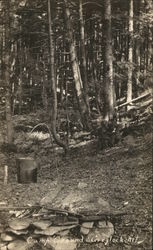 Campground at Greylock Mt. Postcard