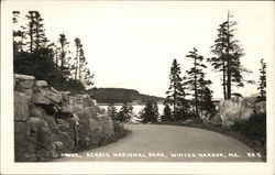 Acadia National Park Winter Harbor, ME Postcard Postcard 
