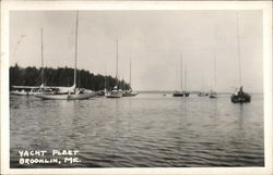 Yacht Fleet Postcard