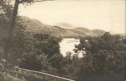 Looking Up the Androscoggin Bethel, ME Postcard Postcard Postcard