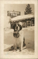 Christmas Tree Restaurant, Mount Rose Postcard
