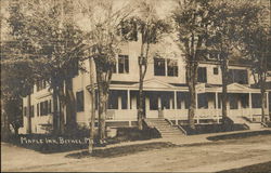 Maple Inn Bethel, ME Postcard Postcard Postcard