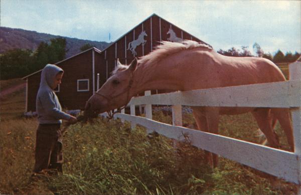 The Village of Four Seasons Uniondale Pennsylvania