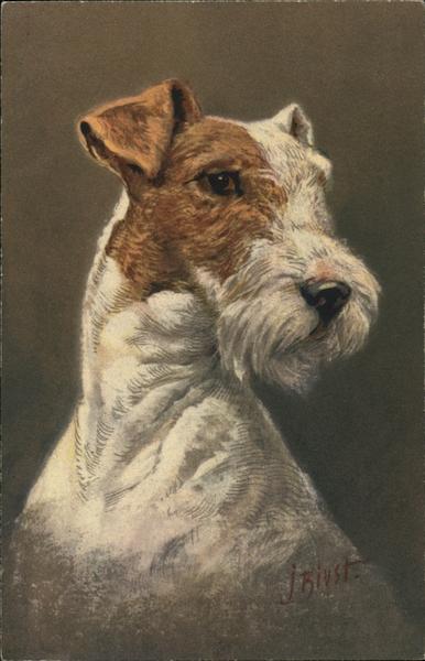 Fox Terrier - White and Brown Face Dogs