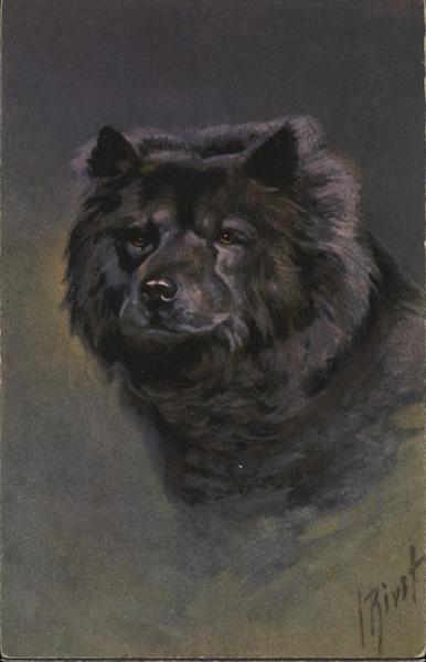 Painting of a Chow-Chow Dogs