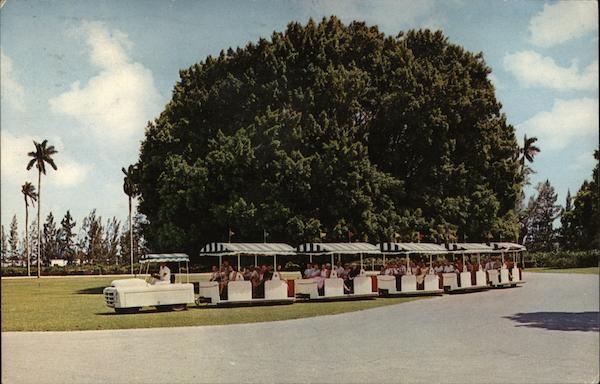 Hialeah Tram Train Florida