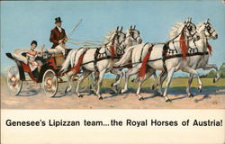 "Jenny" and her famous Lipizzans Rochester, NY Postcard Postcard Postcard