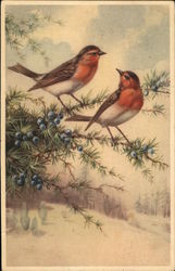 Robins Robins