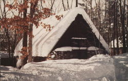 Interlochen Center for the Arts Michigan Postcard Postcard Postcard