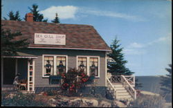 Sea Gull Shop, Pemaquid Point Postcard