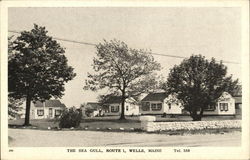 The Sea Gull Wells, ME Postcard Postcard Postcard