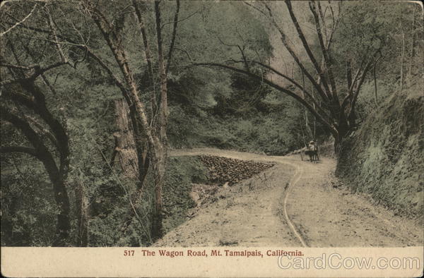 The Wagon Road, Mount Tamalpais Mill Valley California