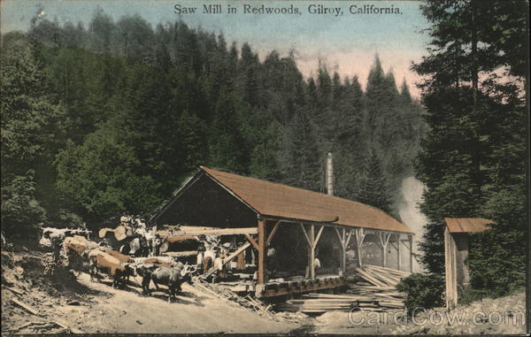 Saw Mill in Redwoods Gilroy California