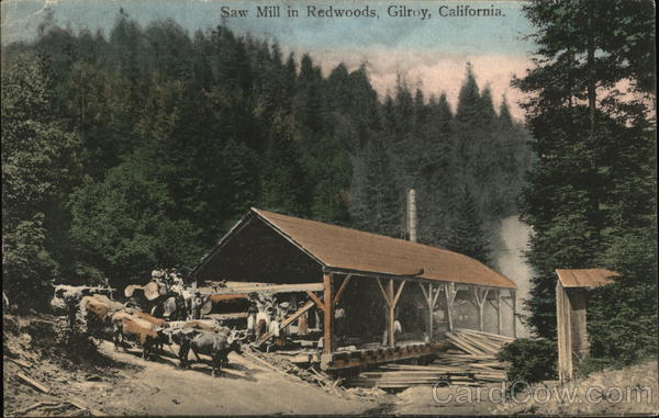 Saw Mill in Redwoods Gilroy California