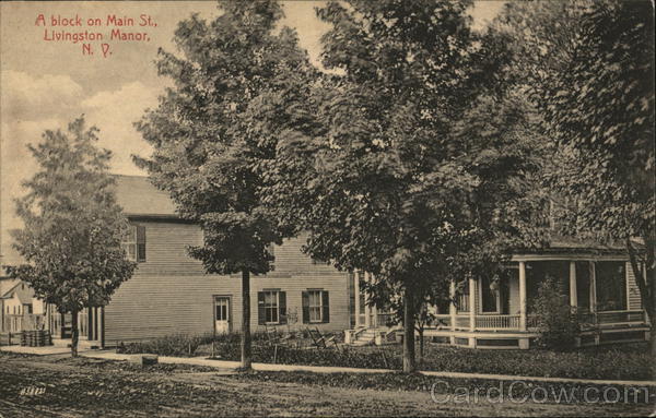 A Block On Main Street Livingston Manor New York