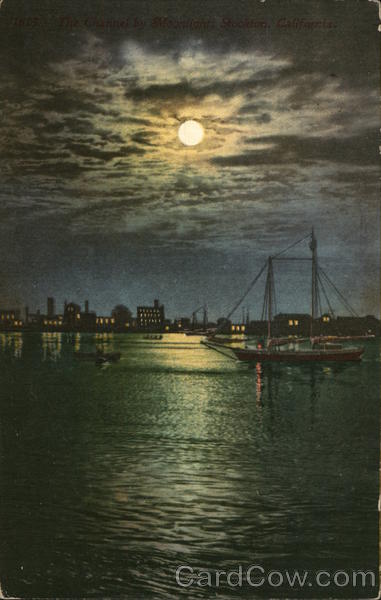 The Channel by Moonlight Stockton California