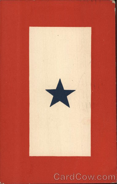 Blue Star Mothers Service Flag Patriotic