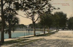 Along Lake Lucerne Drive Postcard